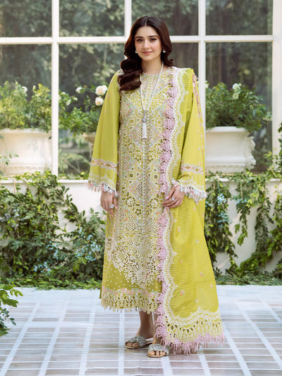 Lime Green Laser Embroidered Lawn Suit With Organza Details