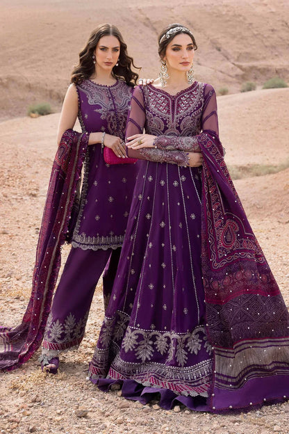 3 Piece Embroidered Net Suit | D-2507-B