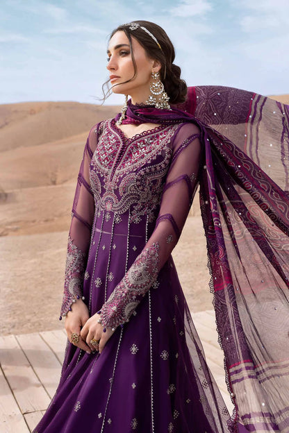 3 Piece Embroidered Net Suit | D-2507-B