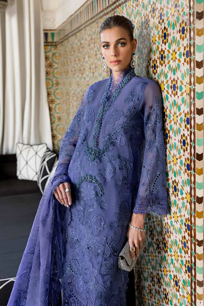 3 Piece Embroidered Organza Suit | D-2506-B